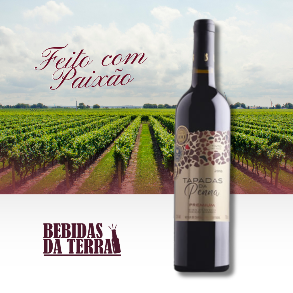 vinhos-exclusivos-portugal-bebidas-da-terra